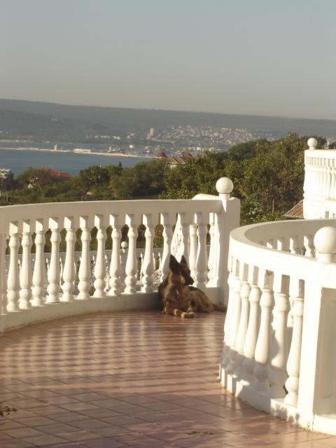 Family Hotel Casablanca Green Varna Eksteriør bilde